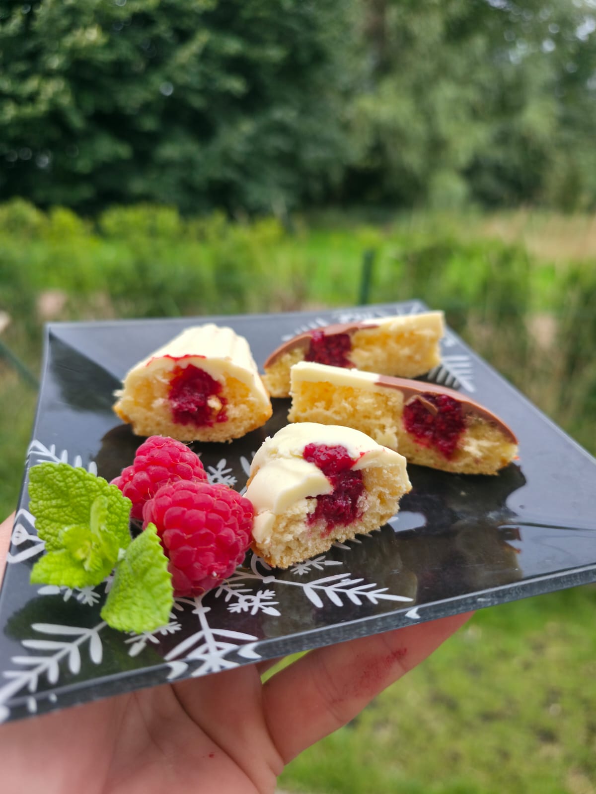 Raspberry Mini Desserts