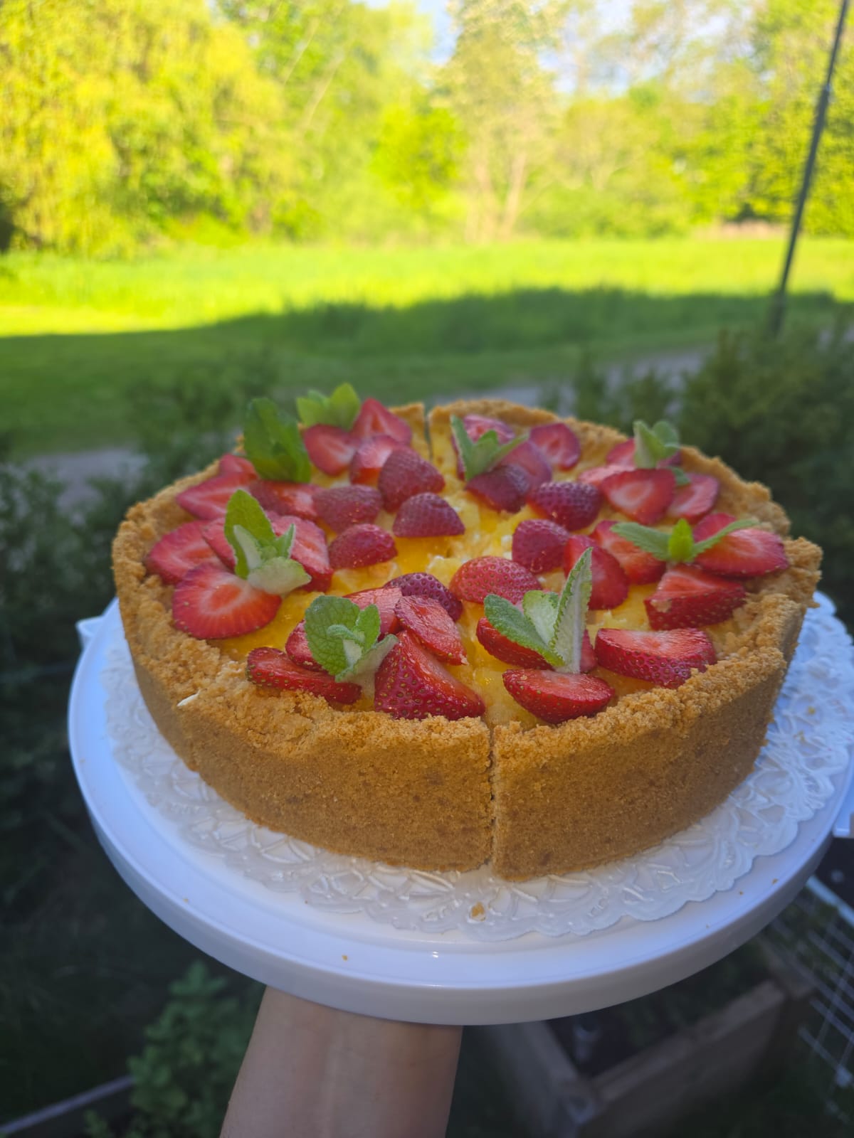 Lemon Cheesecake with Strawberries