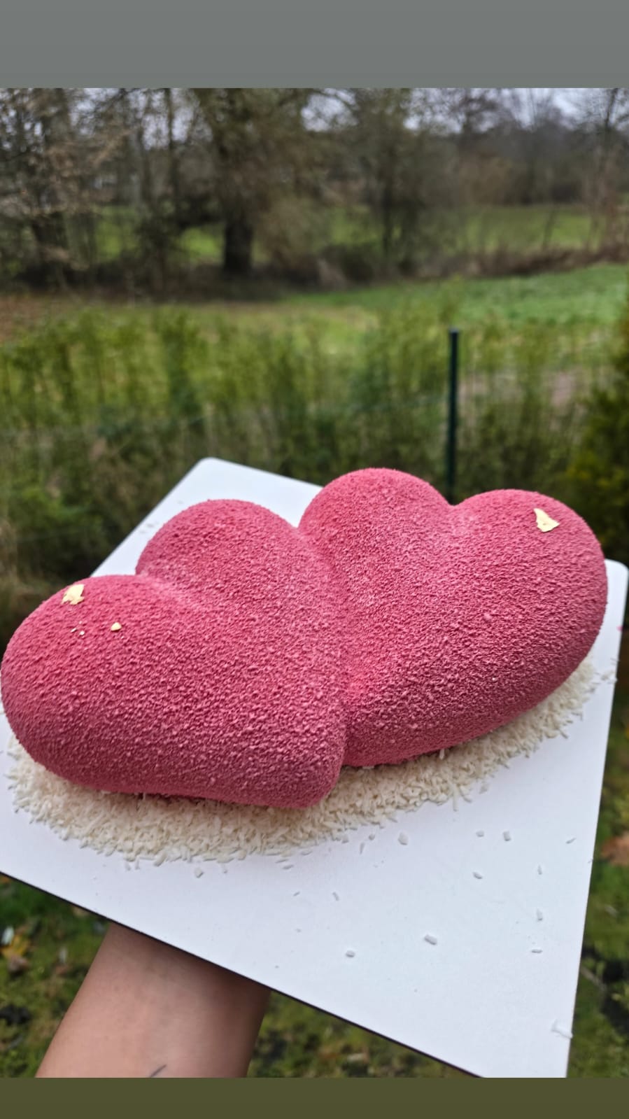 Pink Double Heart Mousse Cake