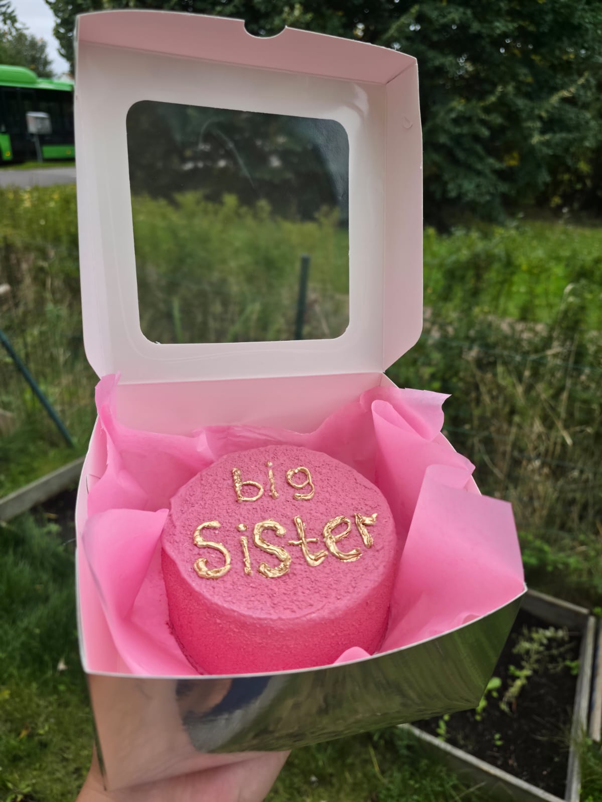 Big Sister Bento Cake