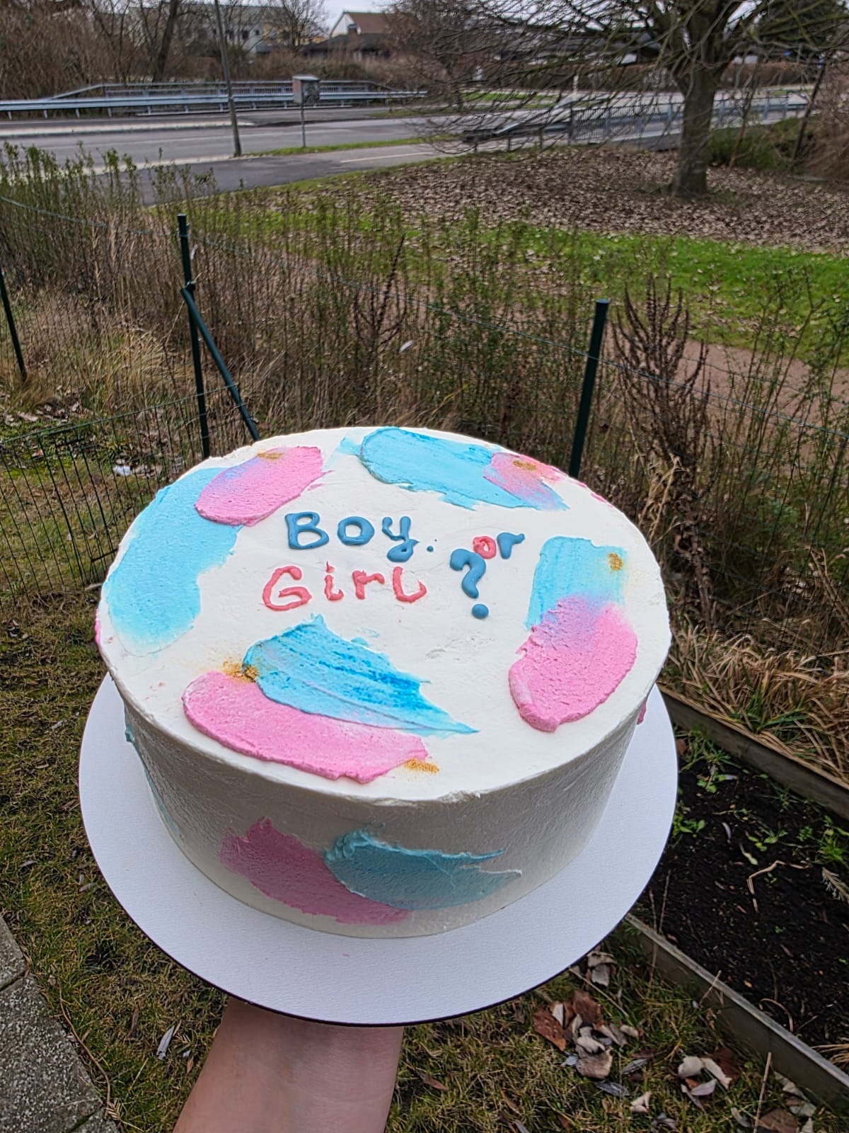 Boy or Girl Gender Reveal Cake