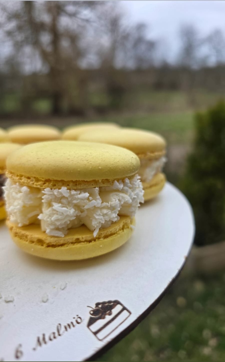 Coconut Macaron