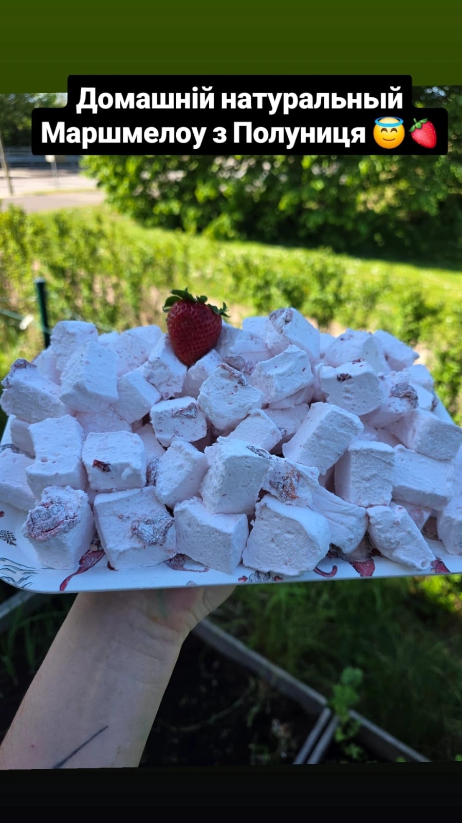 Strawberry Marshmallow