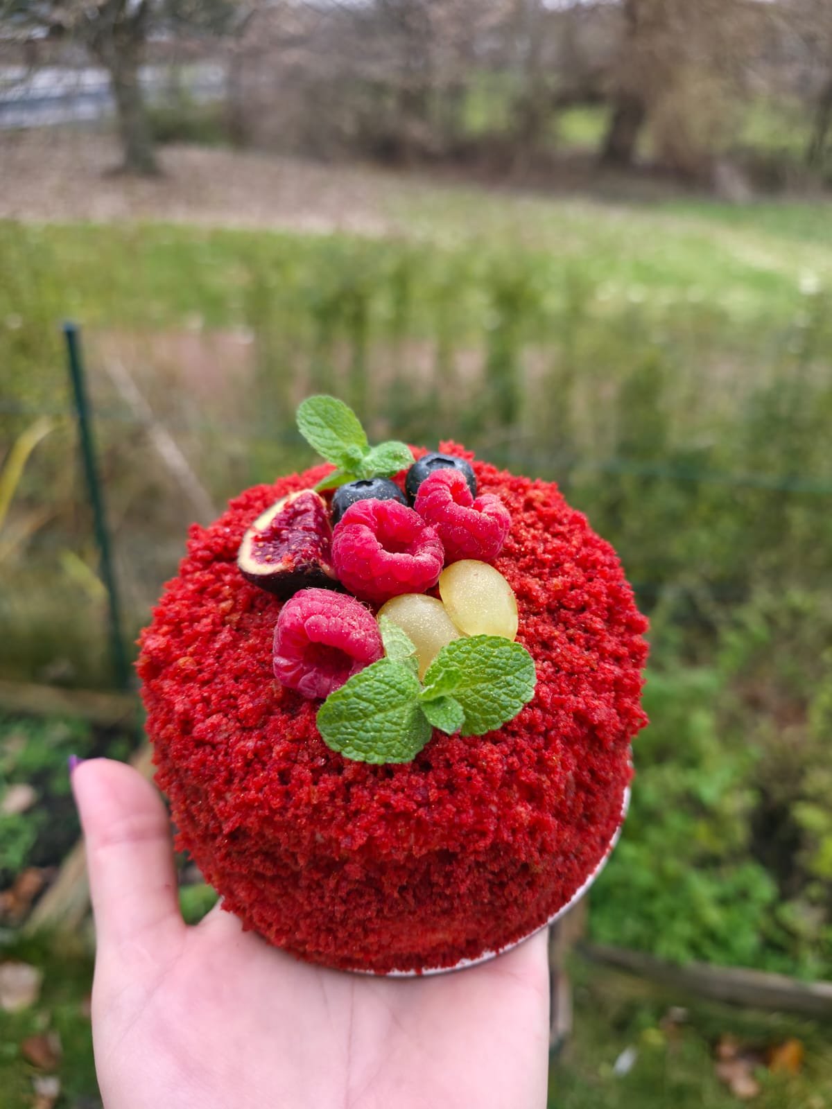 Red Velvet Berry Mini Cake