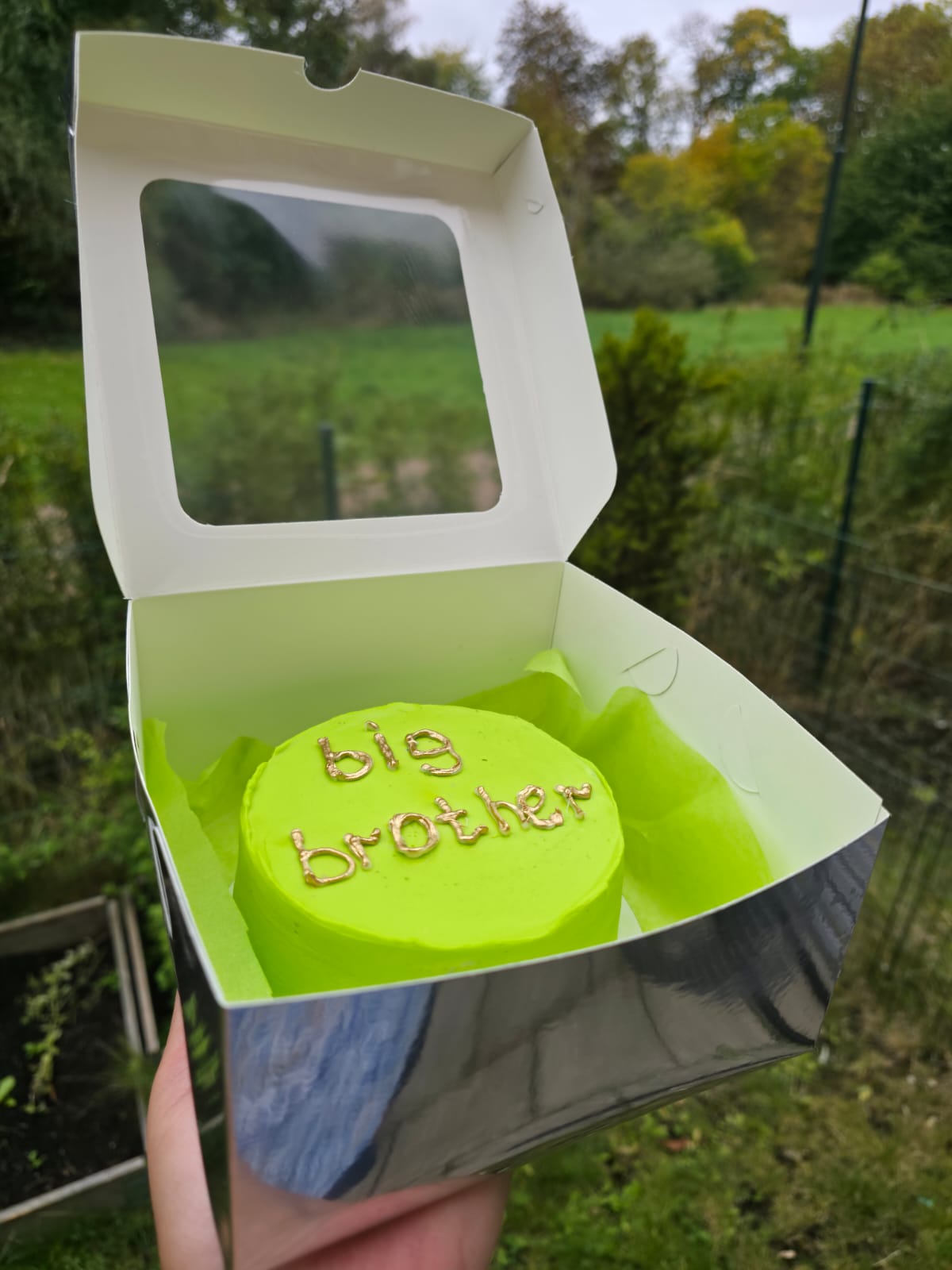 Big Brother Bento Cake
