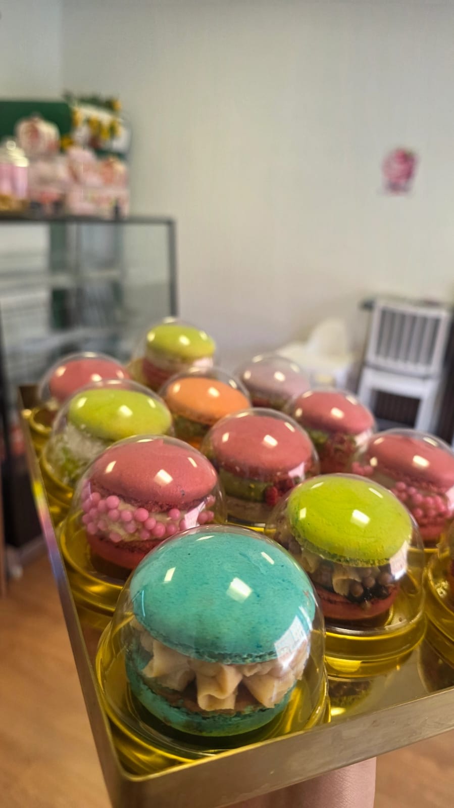 Macaron Dome Box