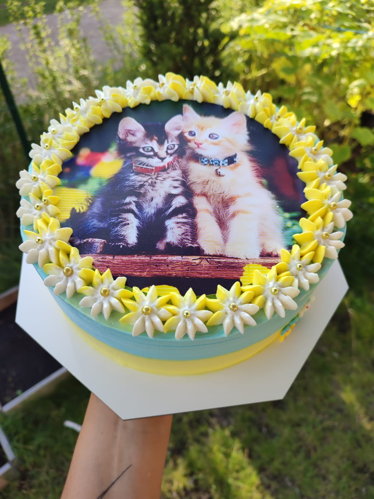 Kitten Photo Cake