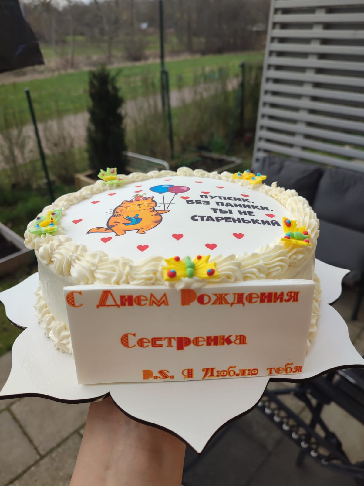 Funny Cat Print Cake