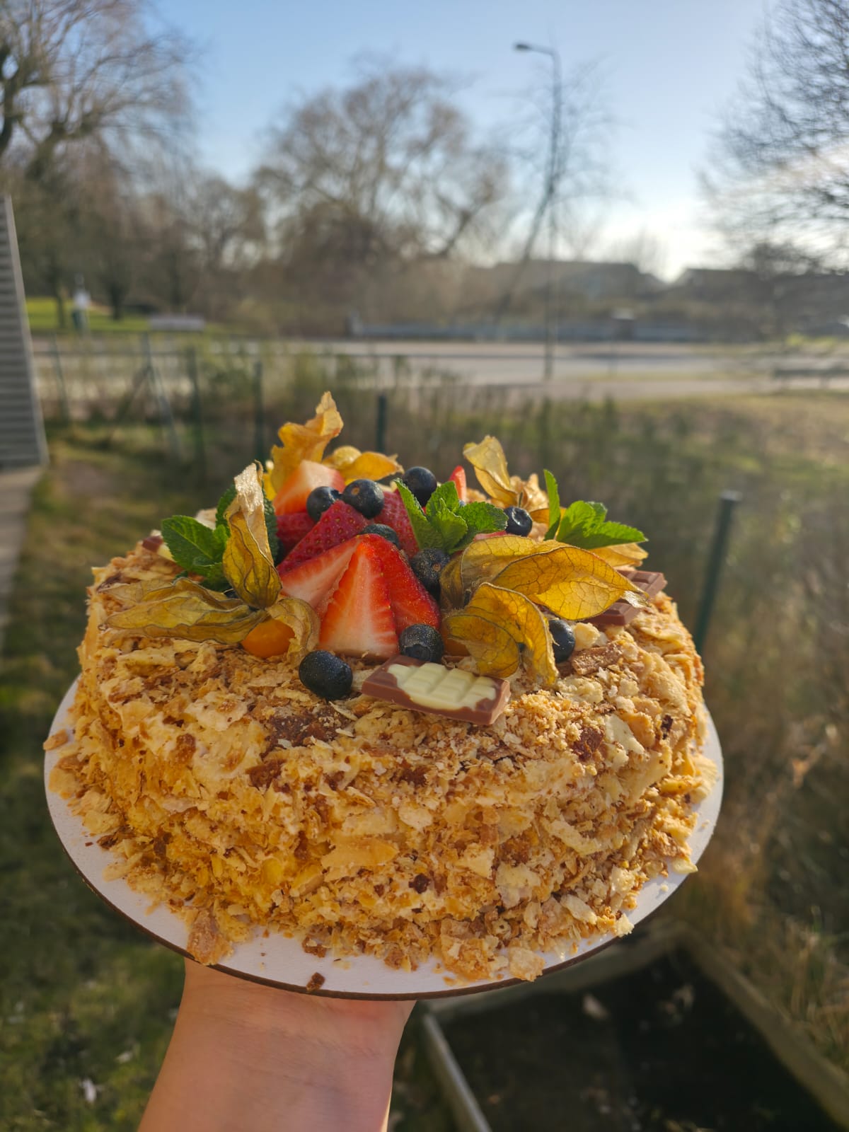 Napoleon with Physalis