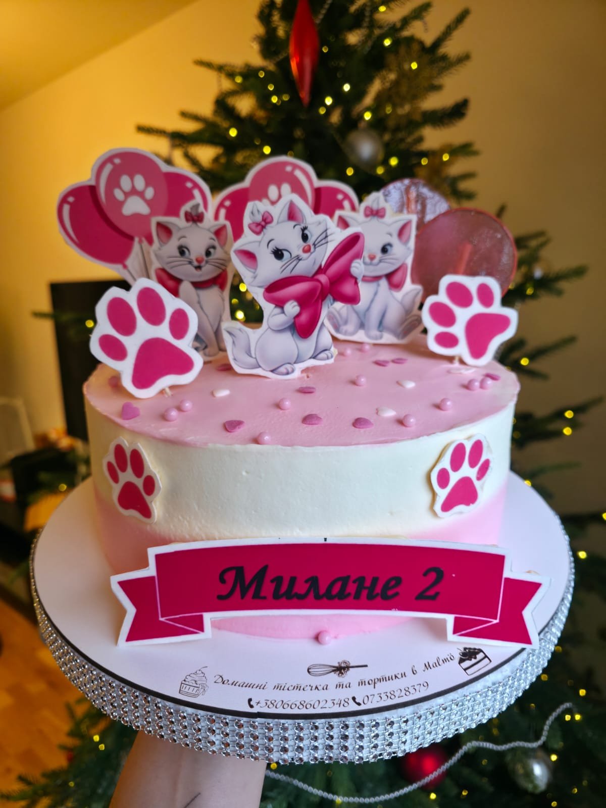 Kitten Birthday Cake