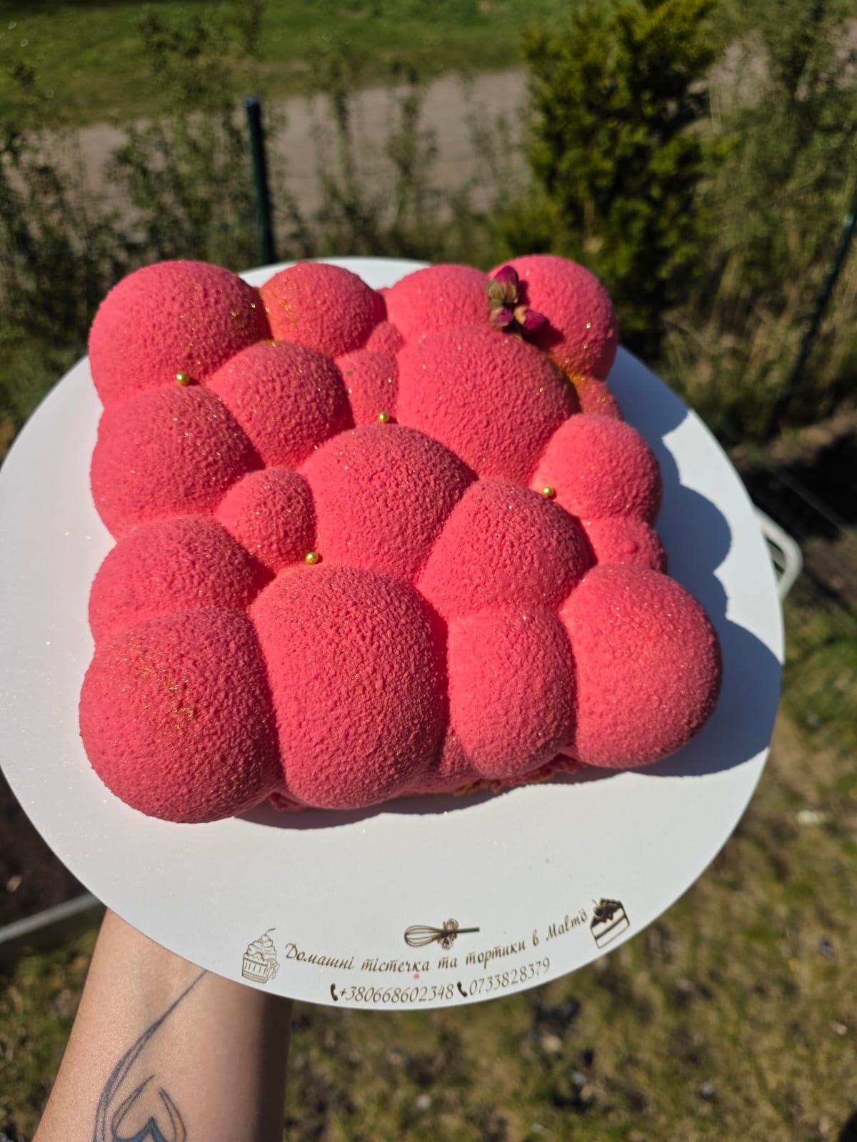 Pink Bubble Mousse Cake