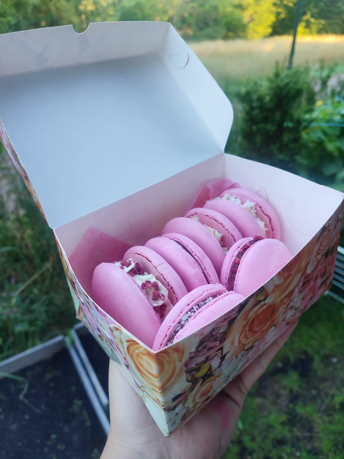 Pink Macarons Box