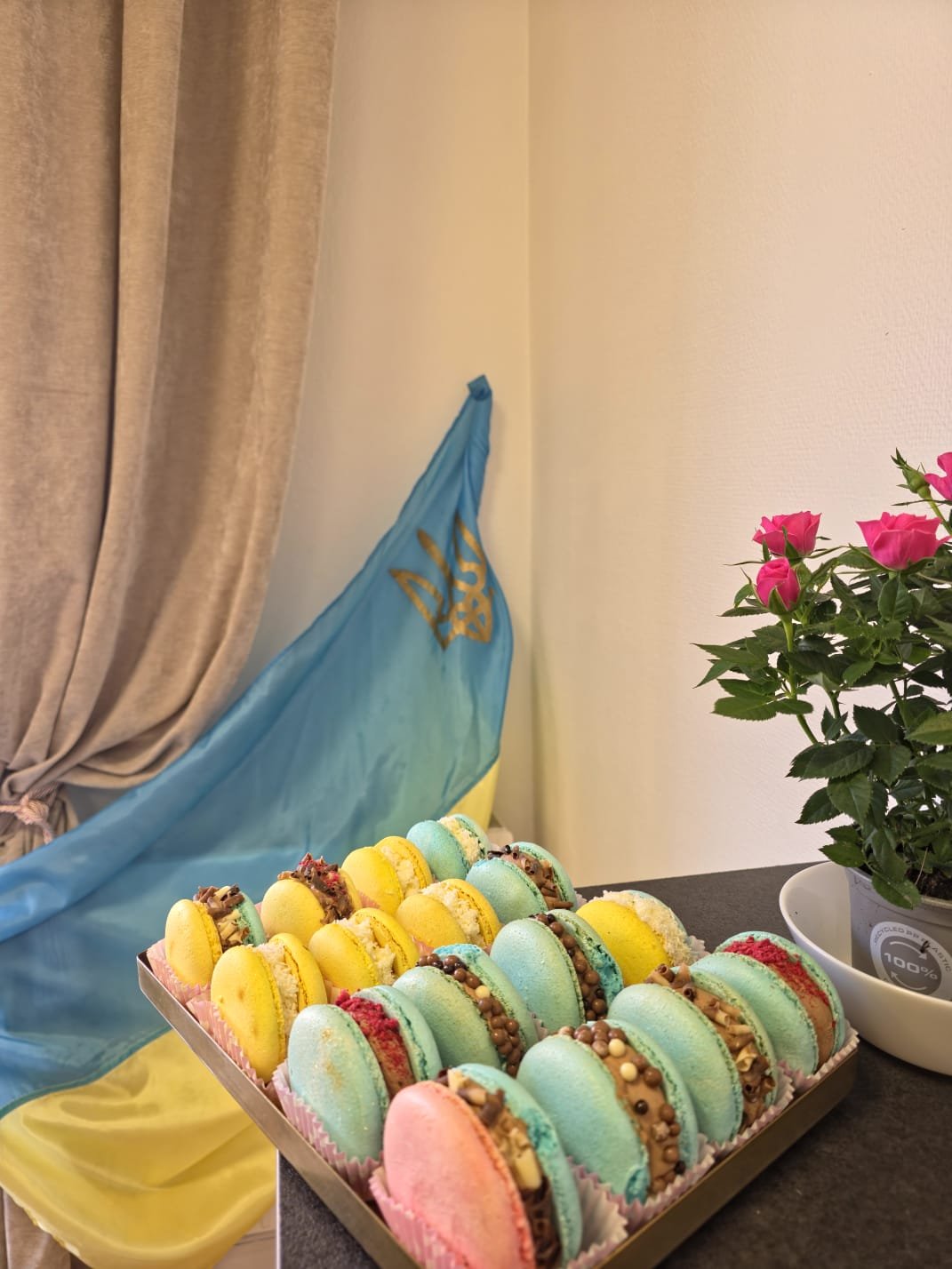 Yellow & Blue Macaron Box
