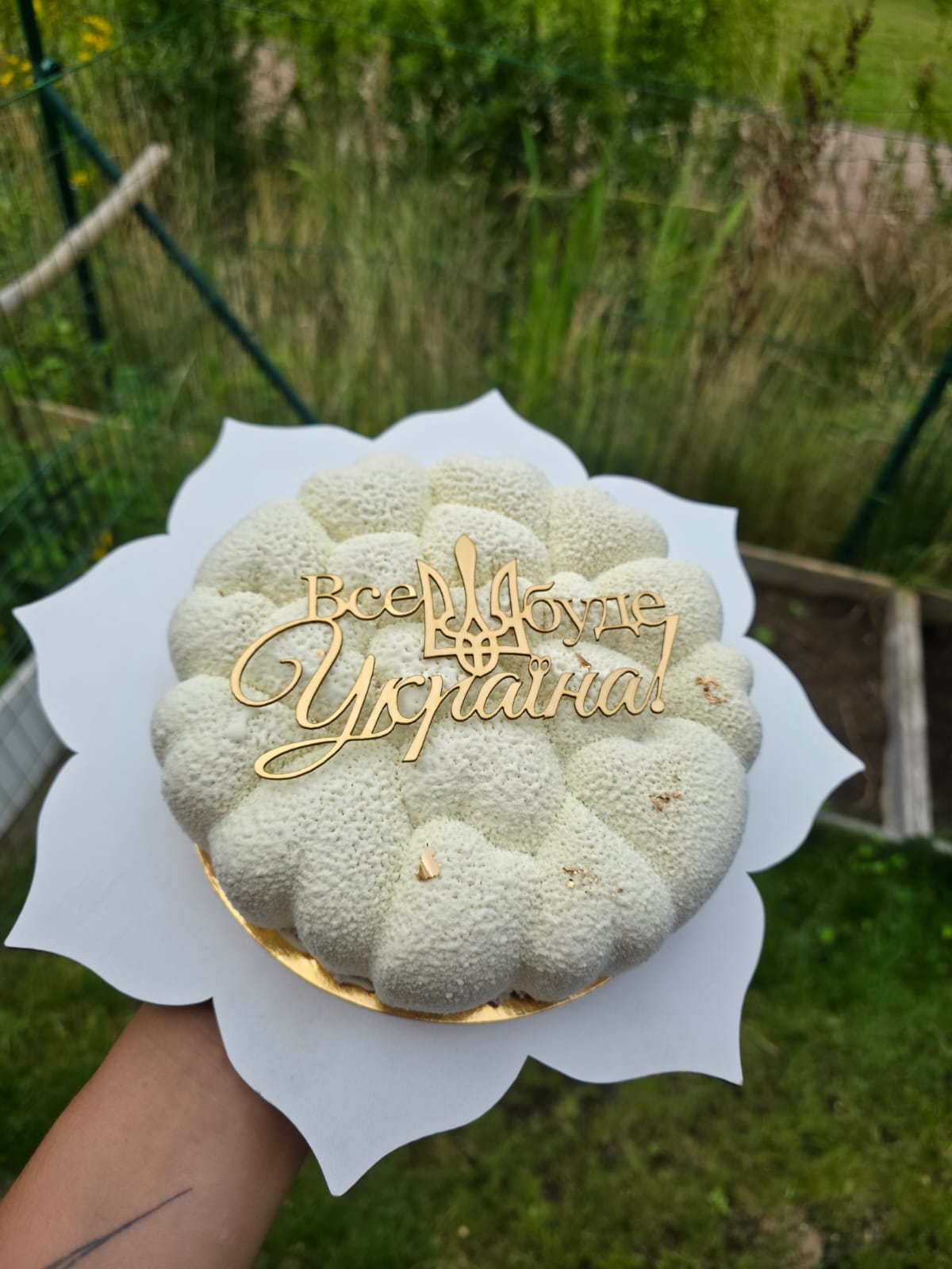 Ukraine Velvet Mousse Cake