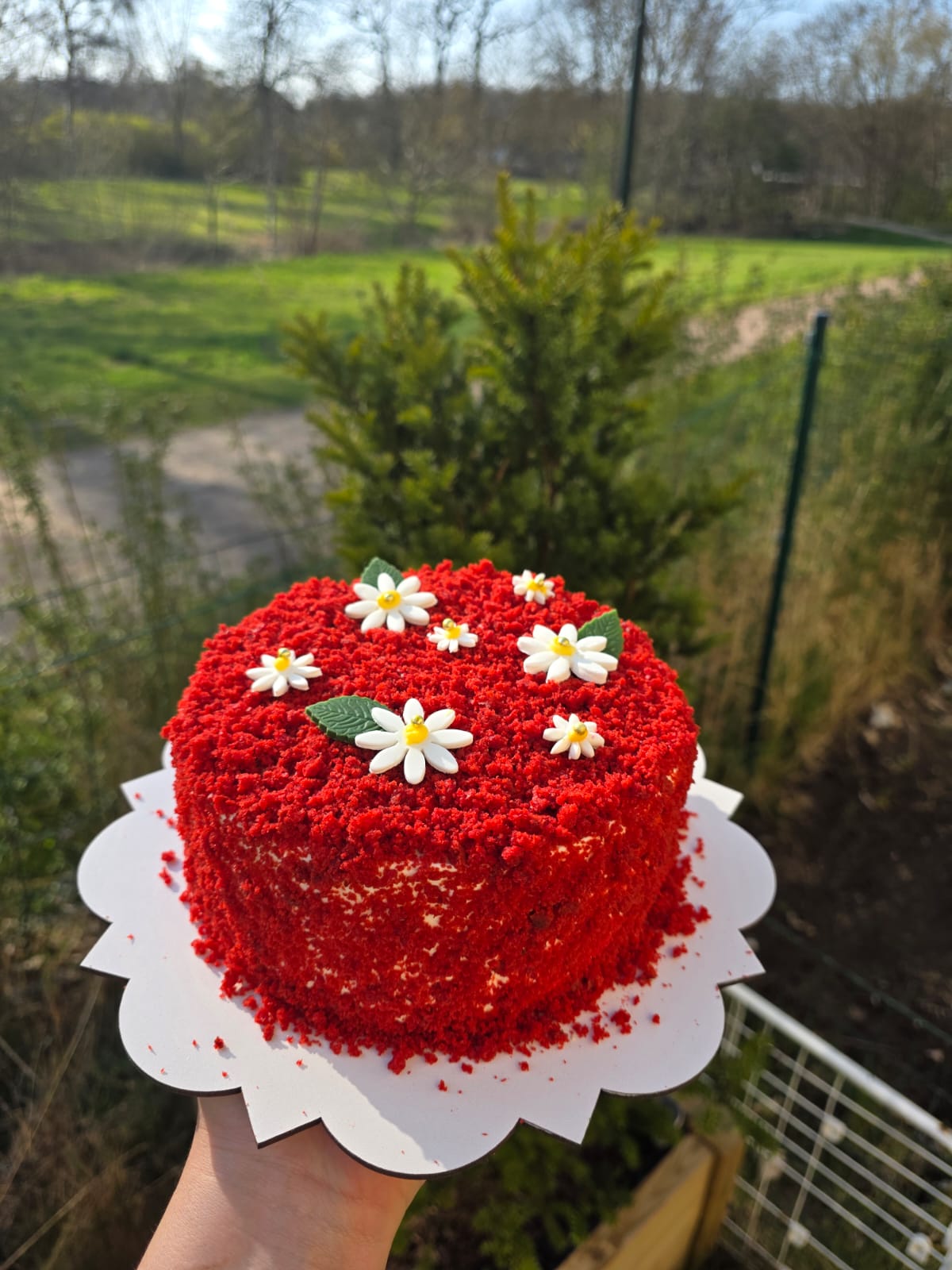 Red Velvet Cake with Daisies