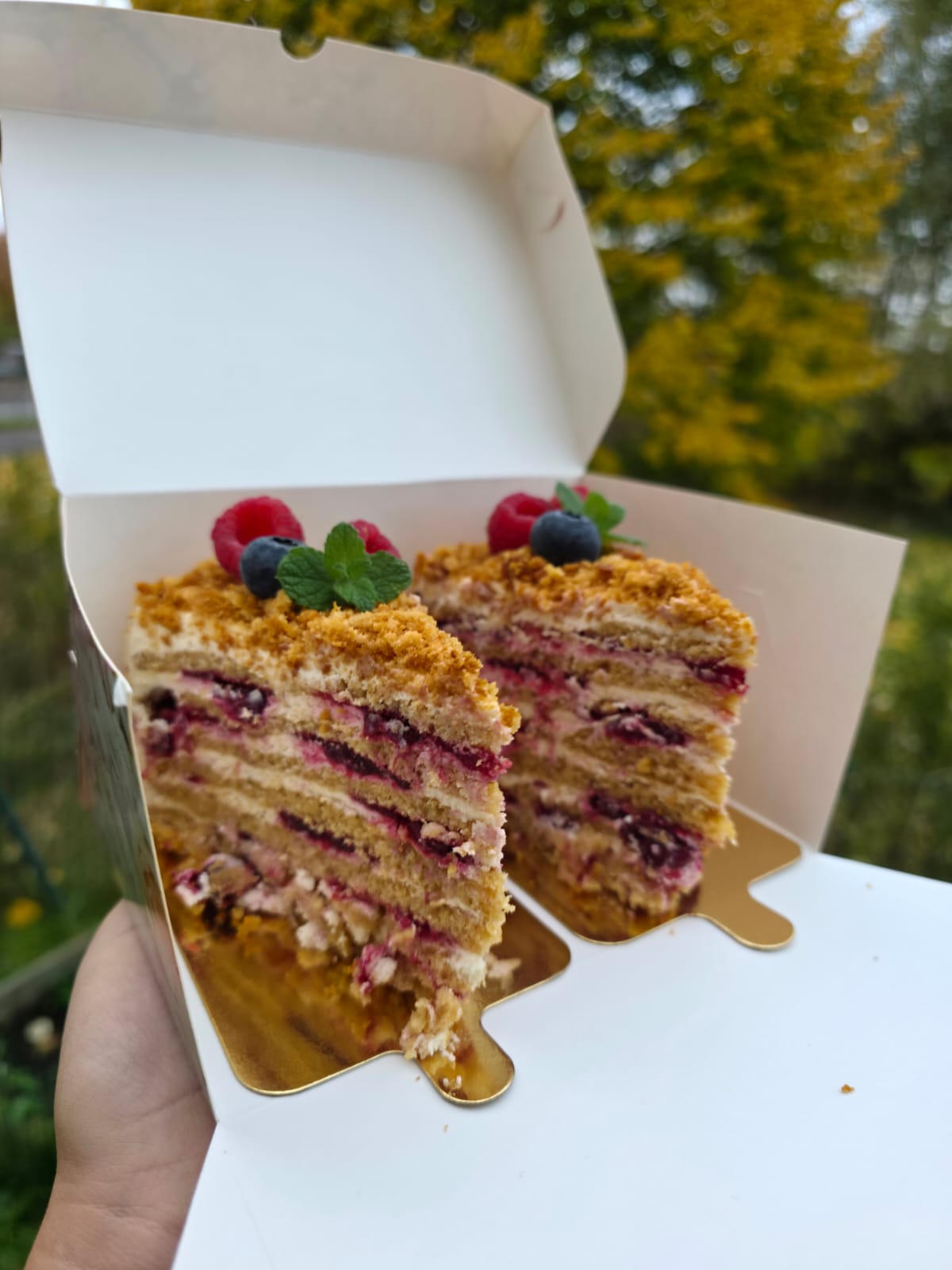 Honey Cake Slices