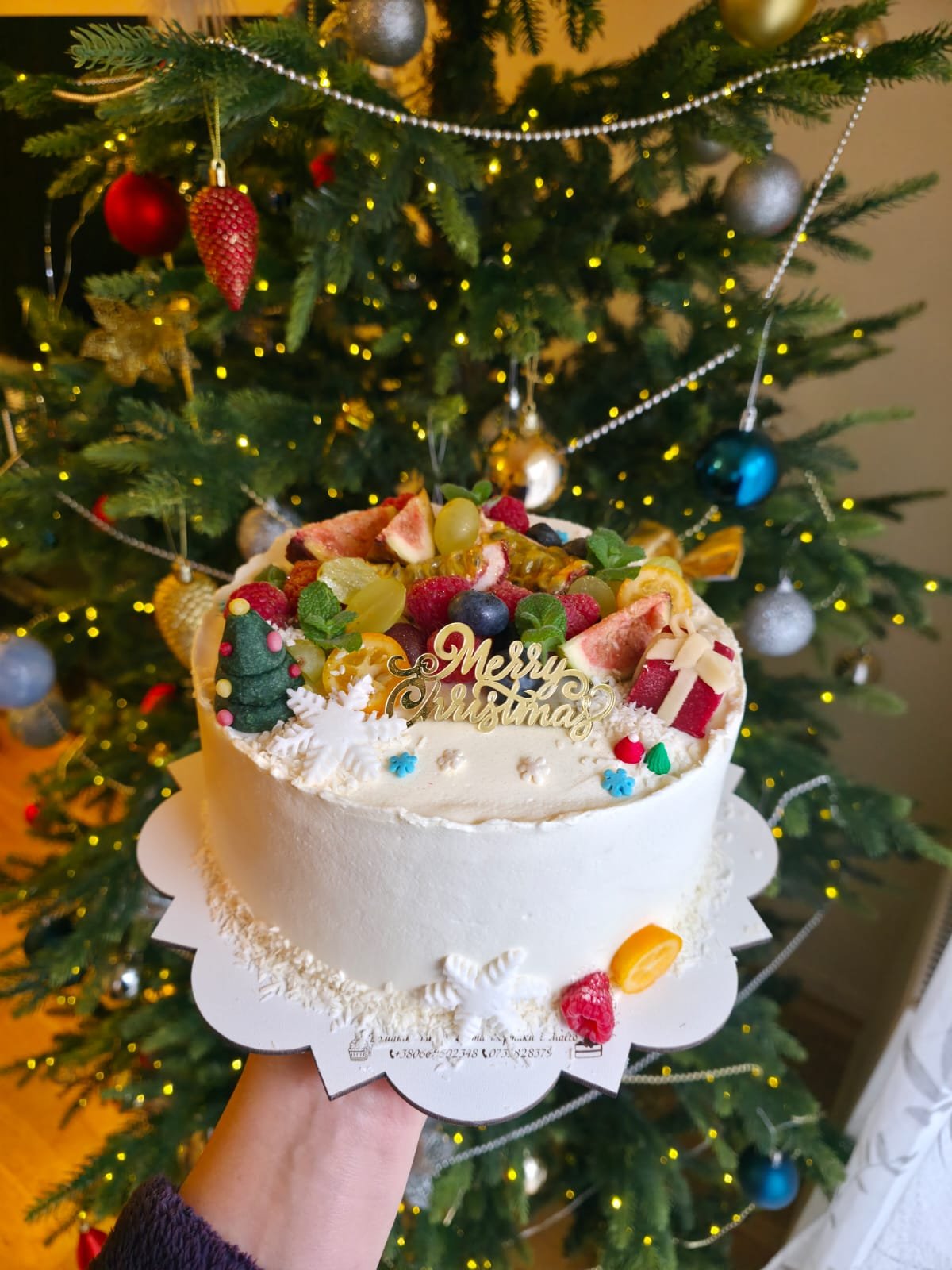 Merry Christmas Fruit Cake