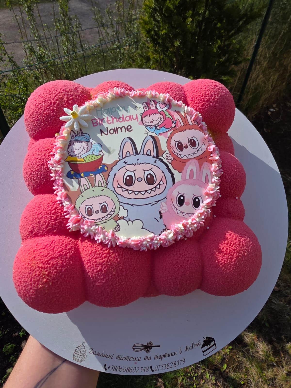 Pink Bubble Cake with Character Print