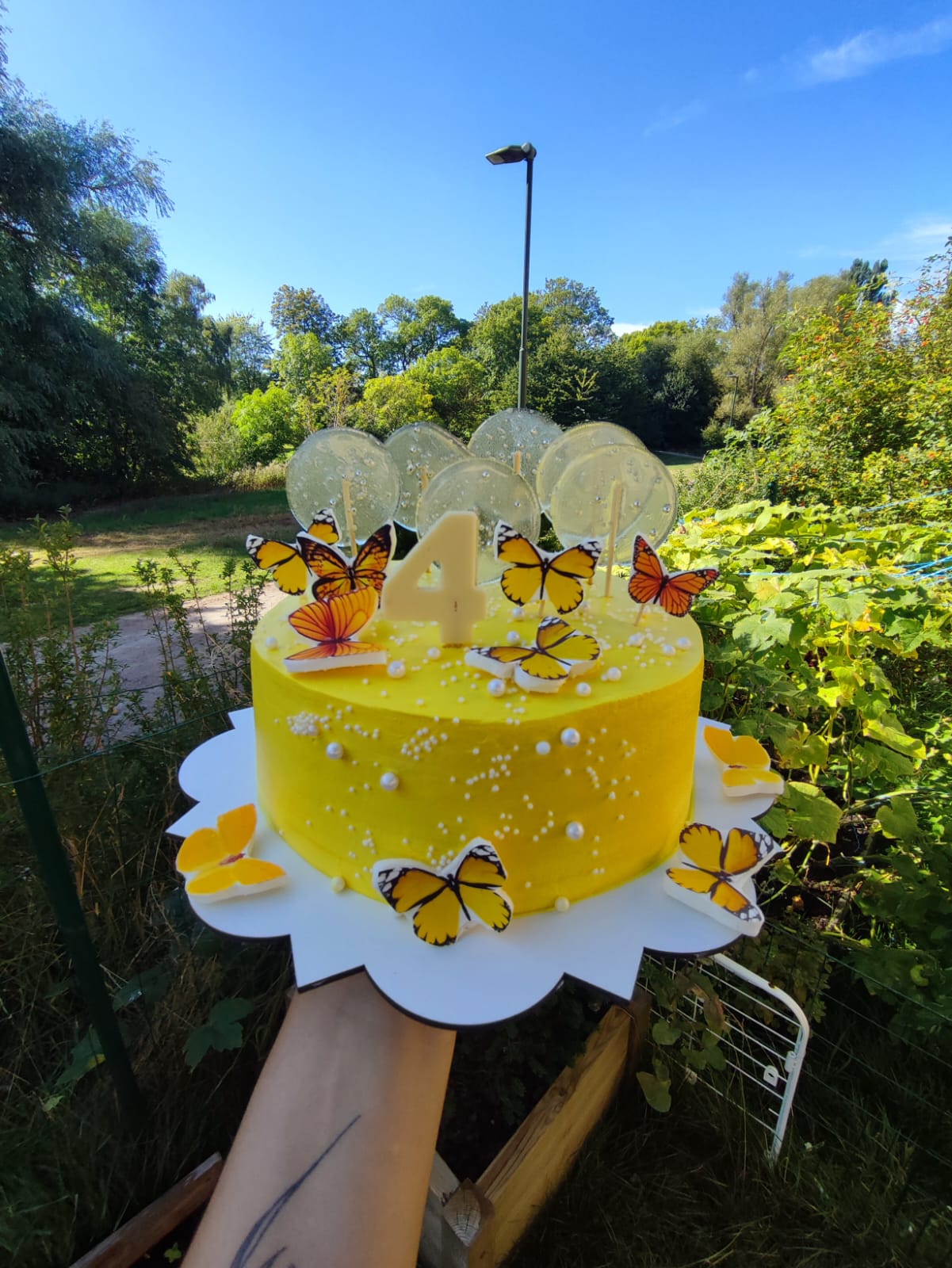 Yellow Butterfly Cake
