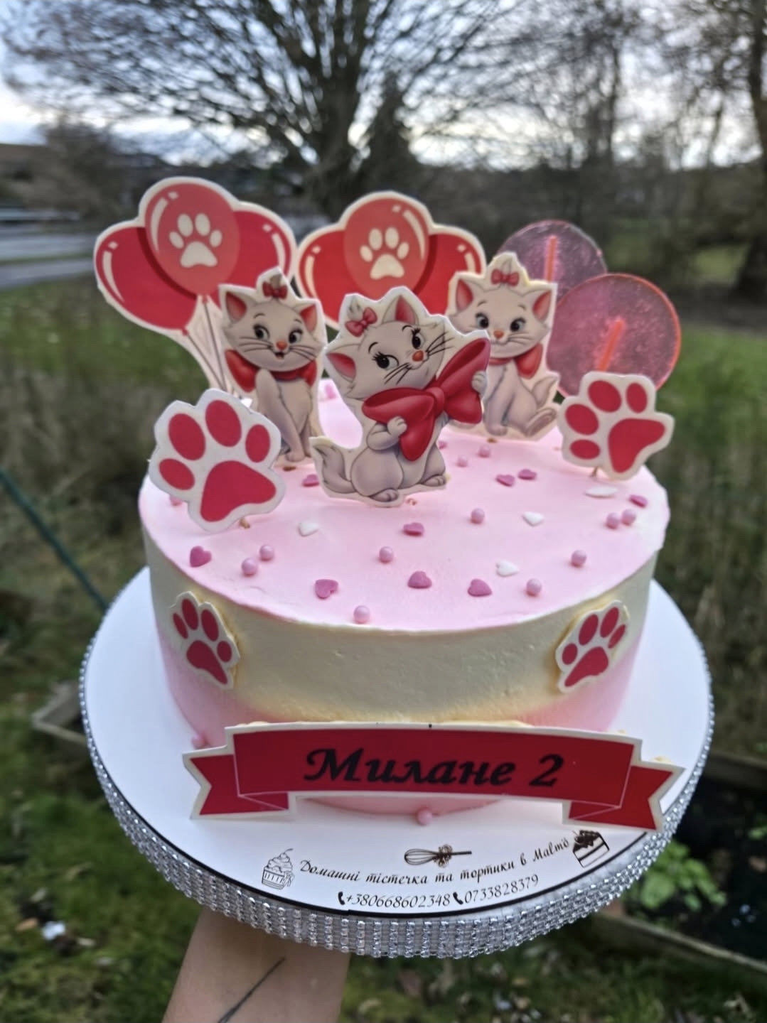 Marie the Cat Cake