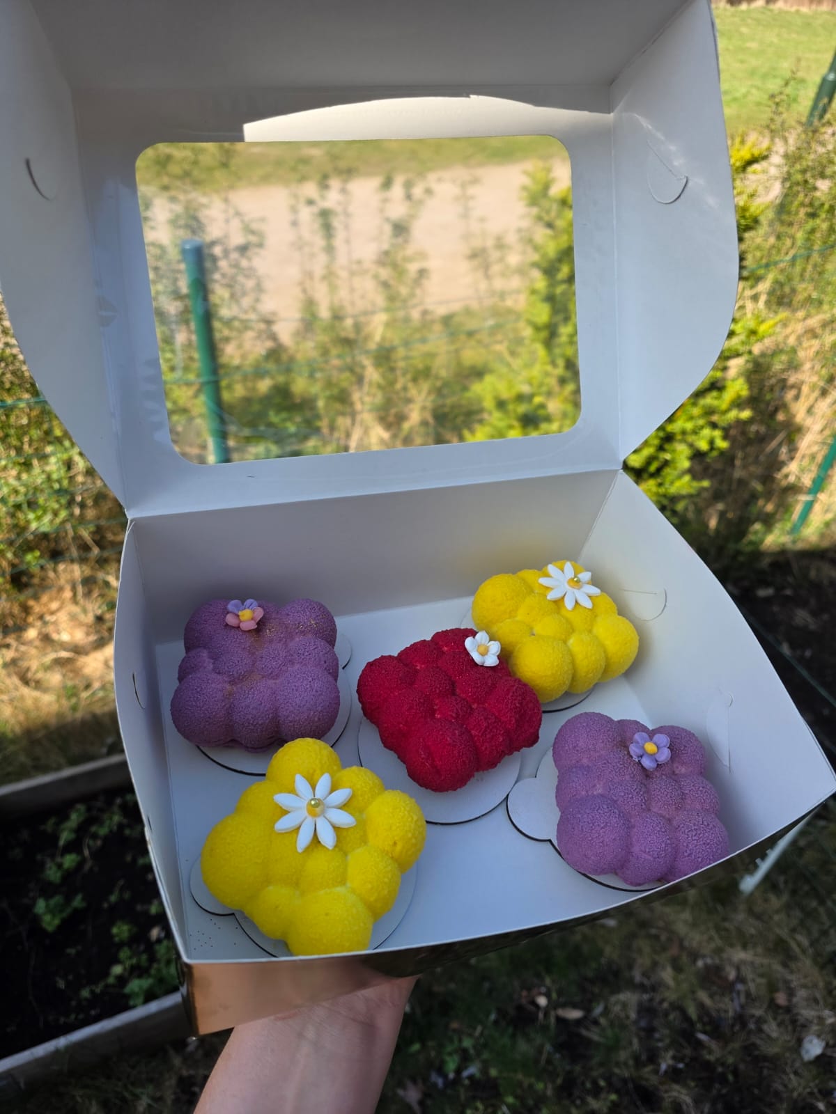 Mini Bubble Mousse Cakes Box
