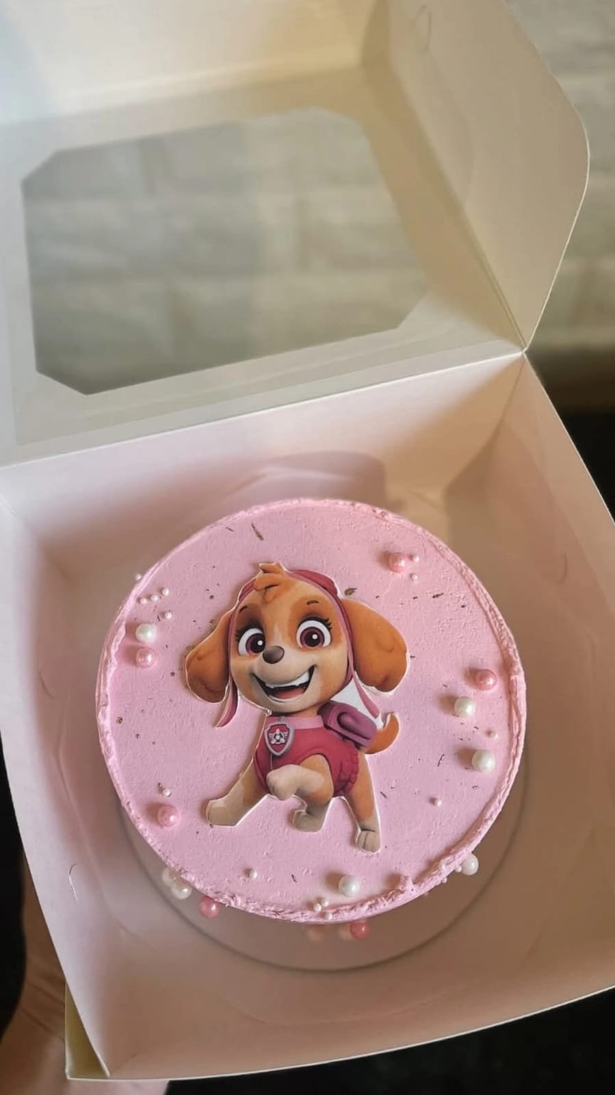 Puppy Patrol Pink Cake