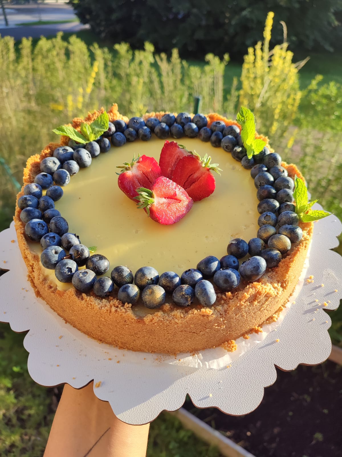 Lemon Blueberry Cheesecake