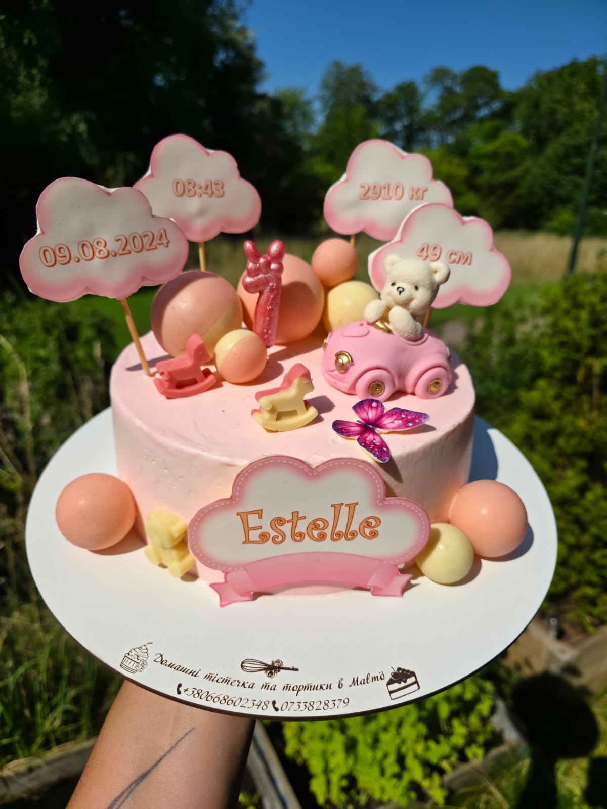 Baby Metrics Cake in Pink