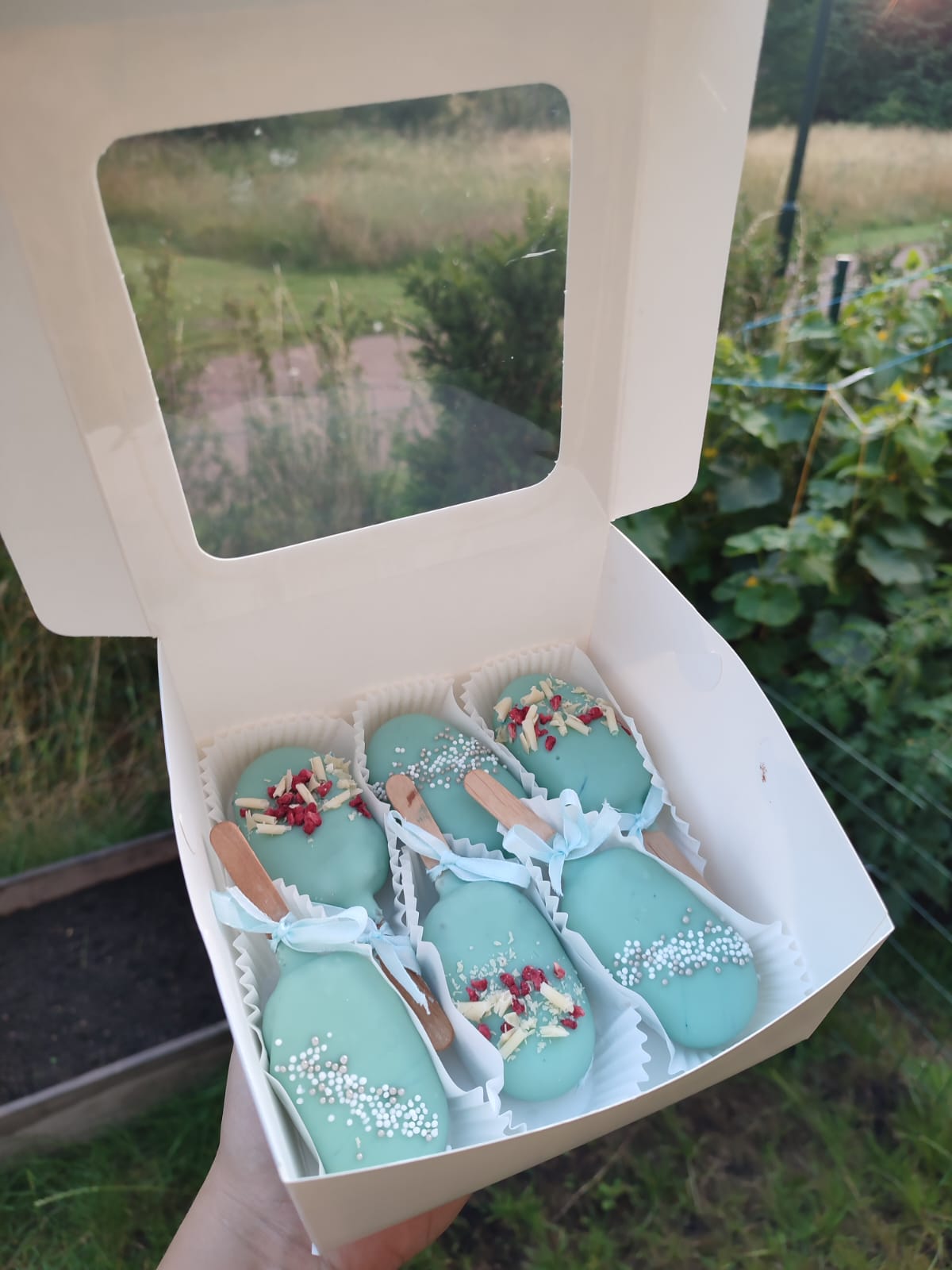 Blue Cakesicles Box