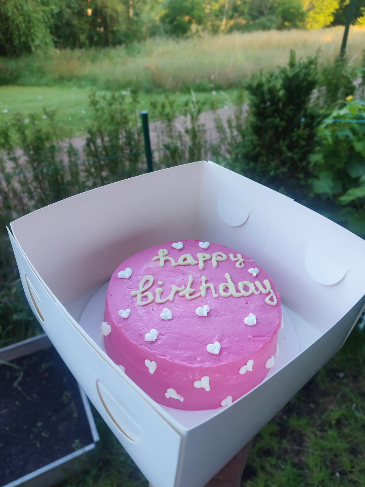 Pink Happy Birthday Bento