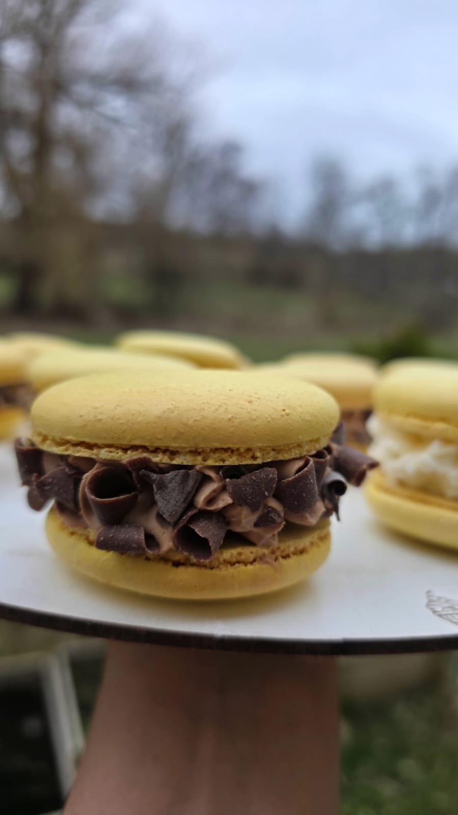 Chocolate Curl Macaron