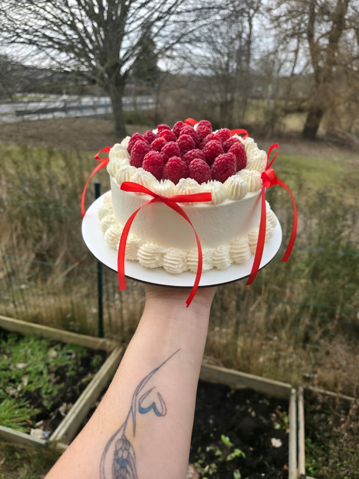 Raspberry Cake with Red Bows
