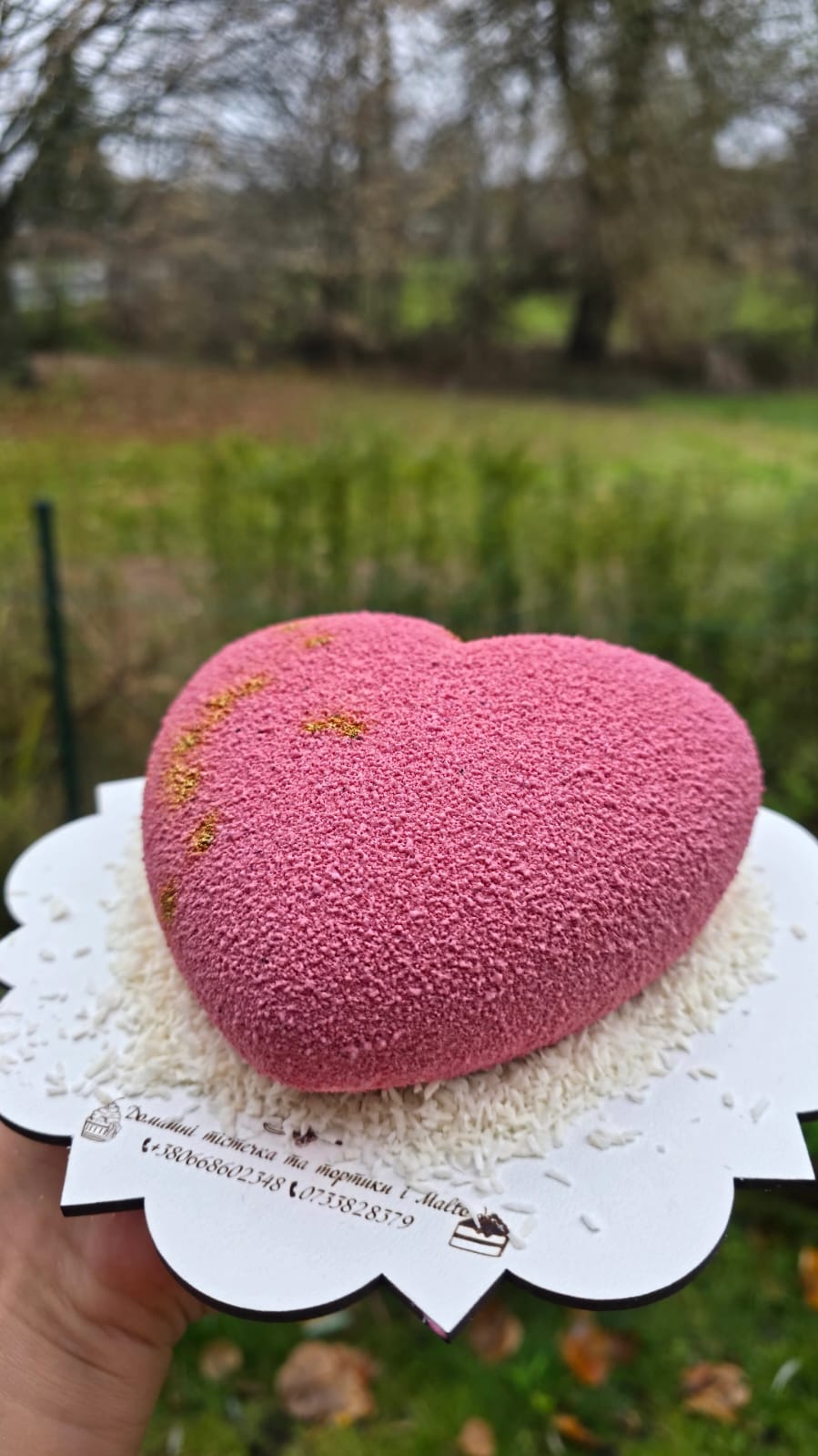 Pink Velvet Heart Mousse Cake