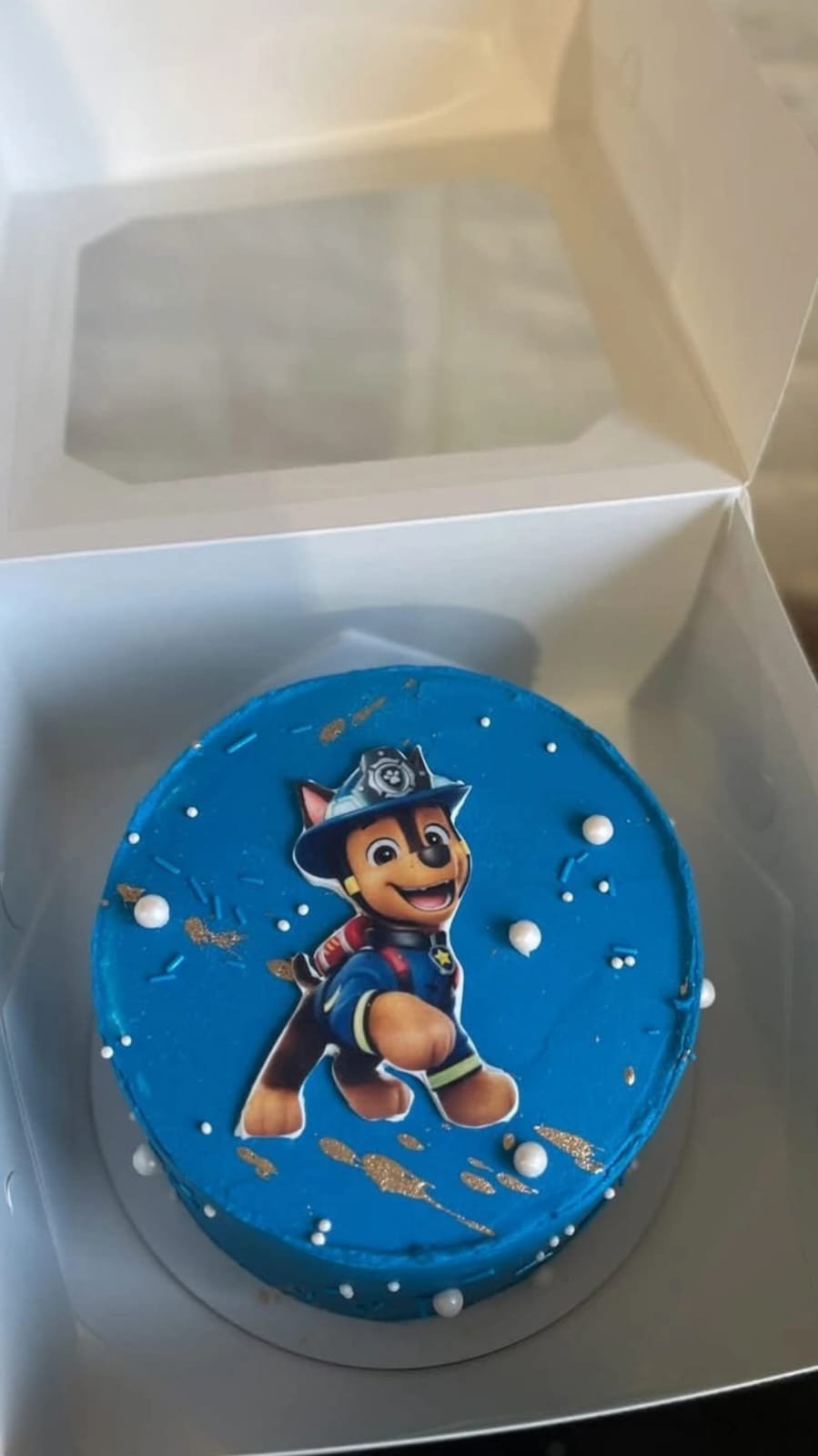 Puppy Patrol Blue Cake