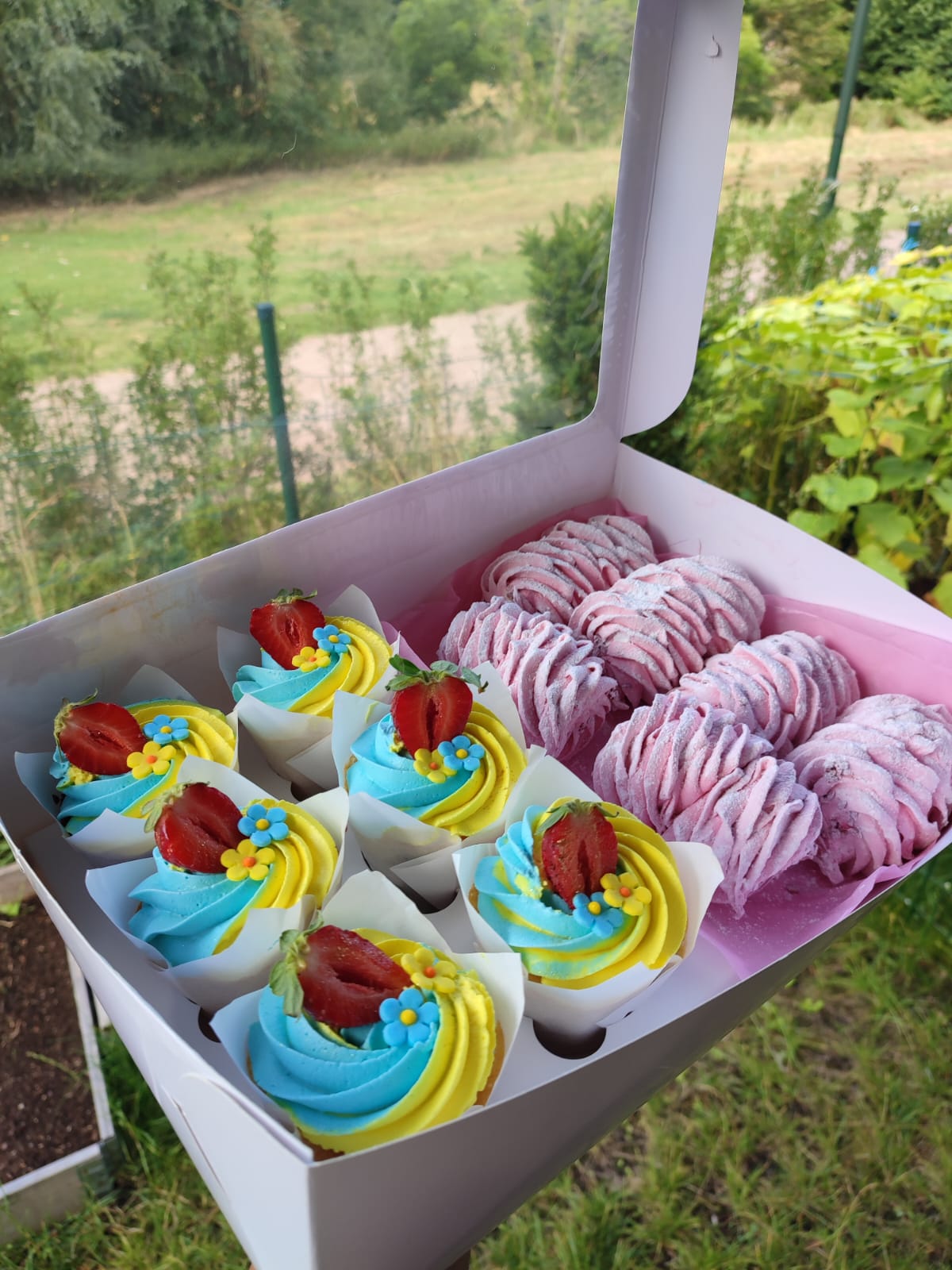 Ukraine Cupcakes & Zefir Box