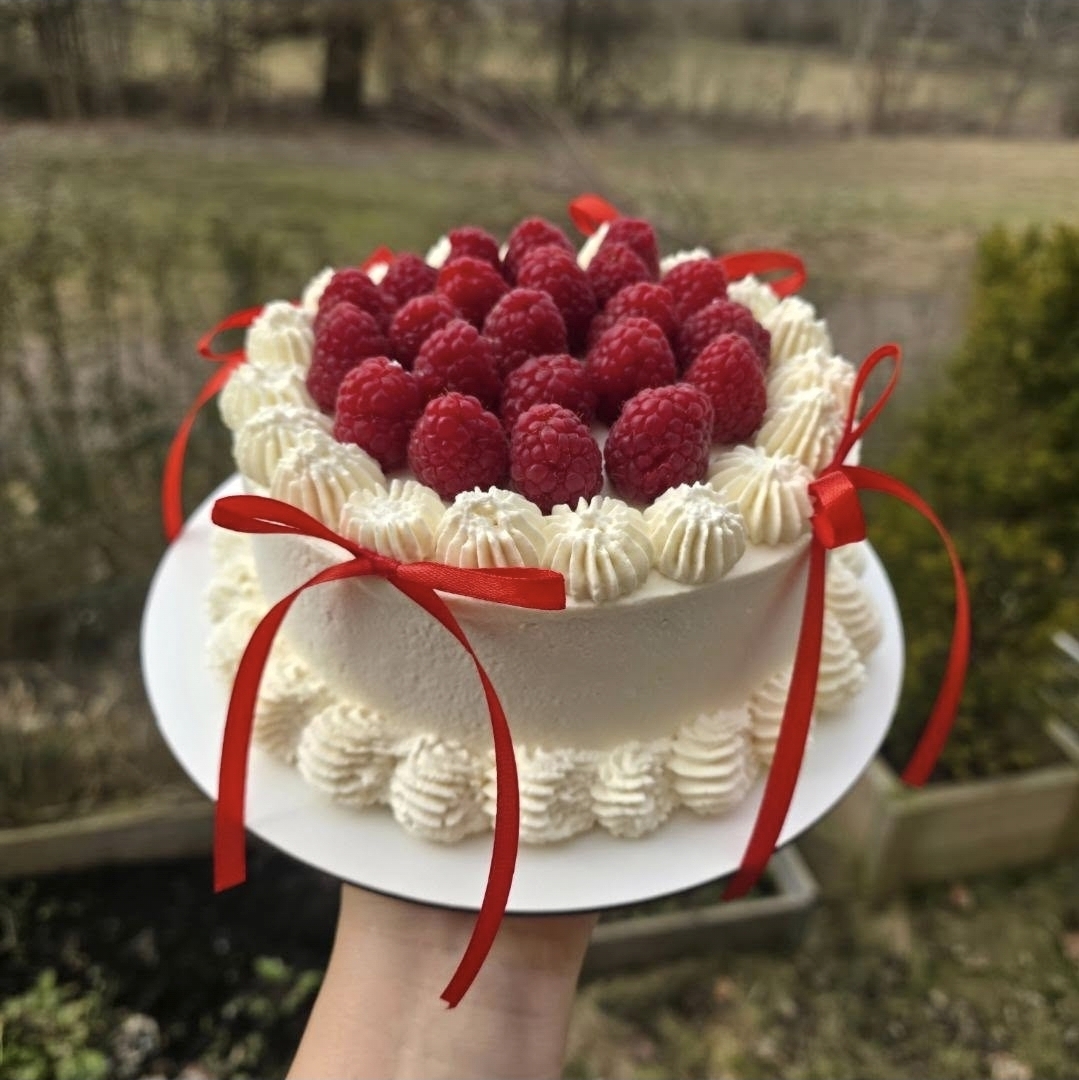 Raspberry & Ribbon Cake