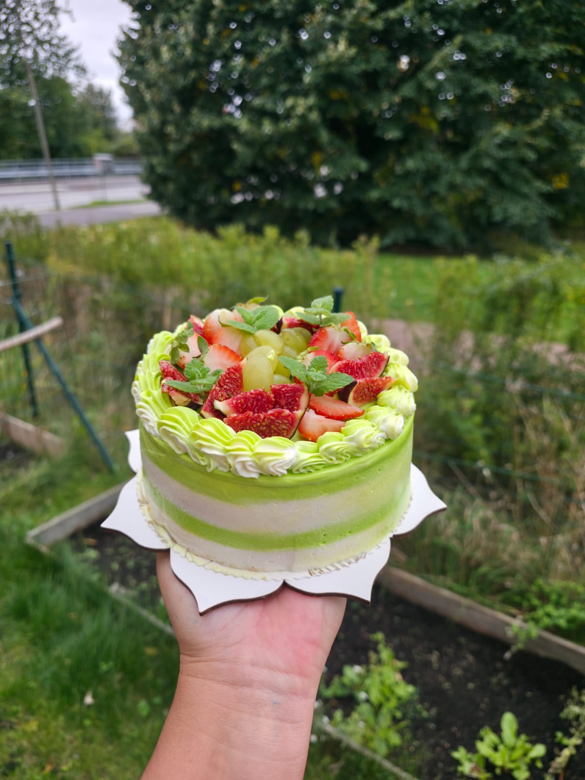 Green Cream & Fig Cake
