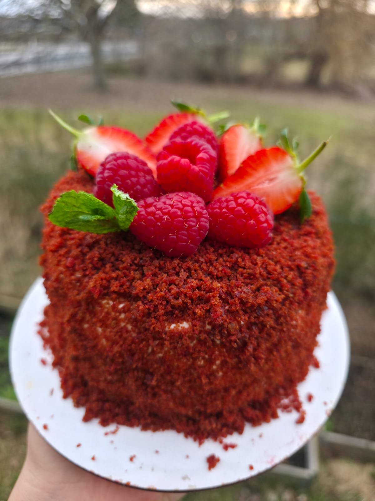 Red Velvet Crumb Cake with Berries