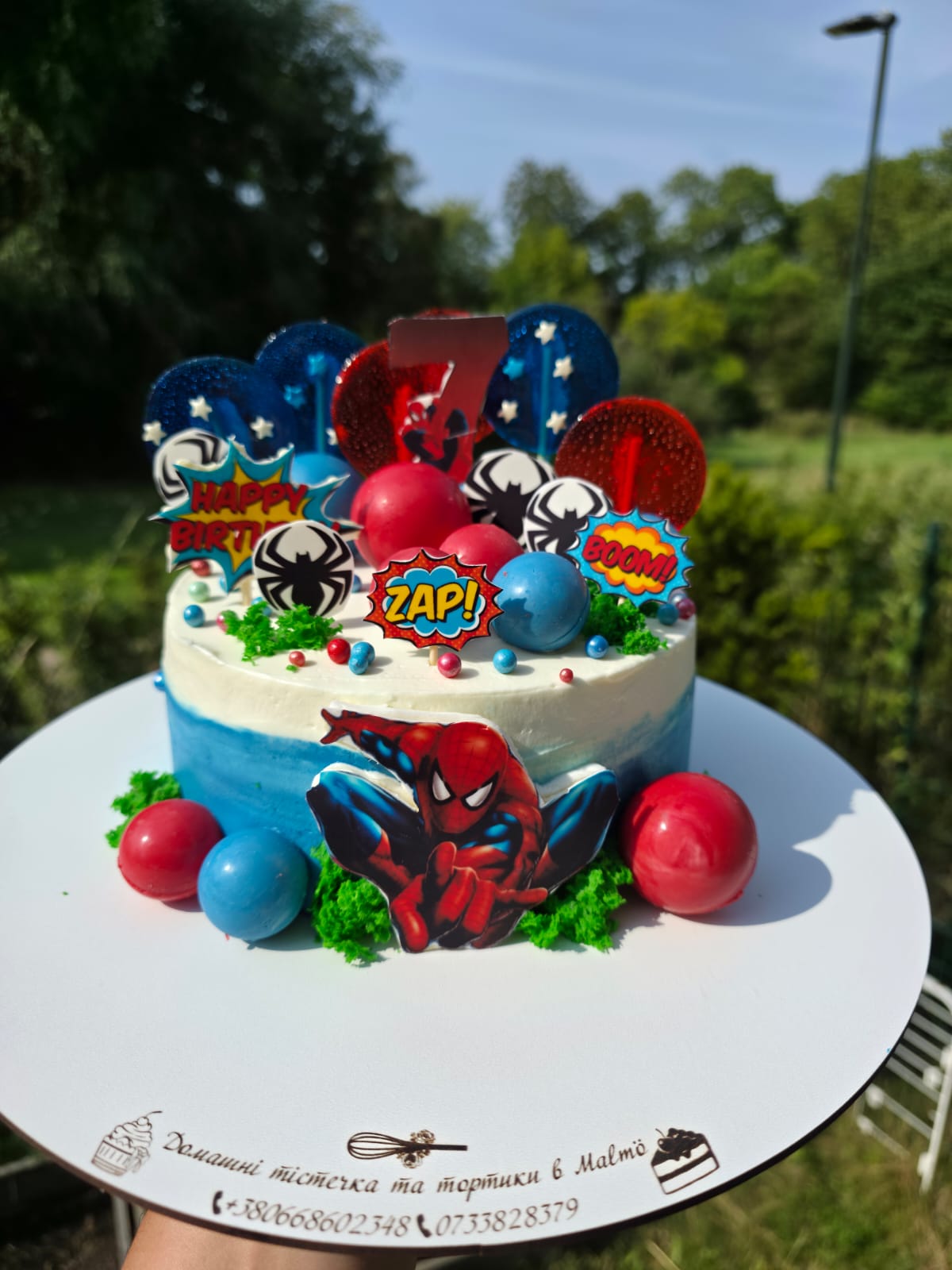 Spider Hero Cake