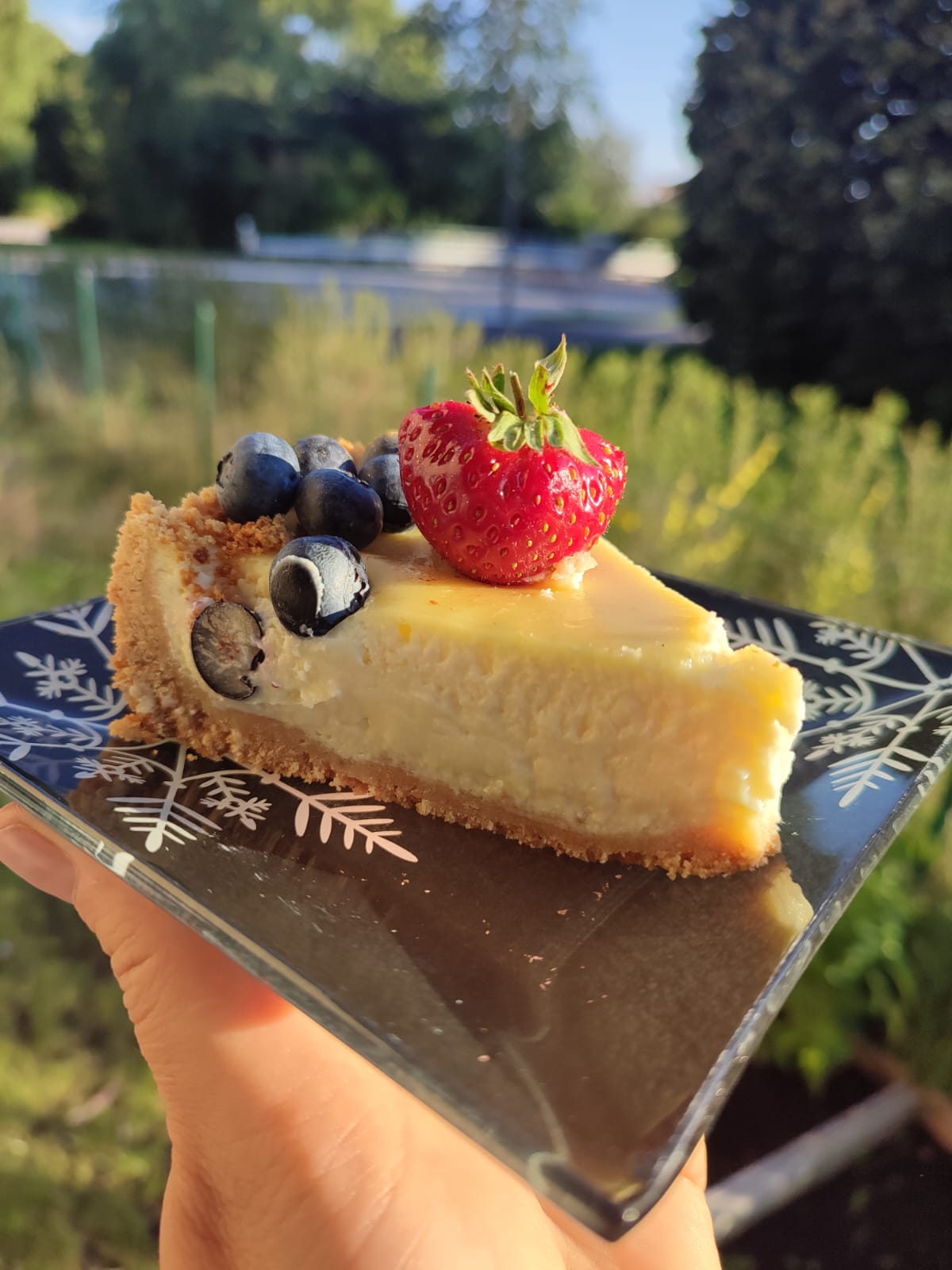 Classic Berry Cheesecake
