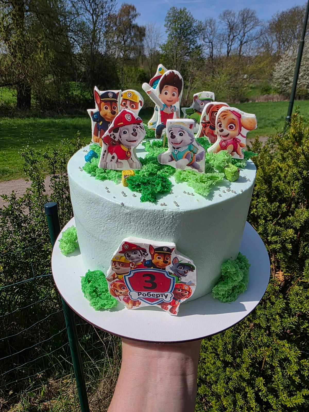 Paw Patrol Cake