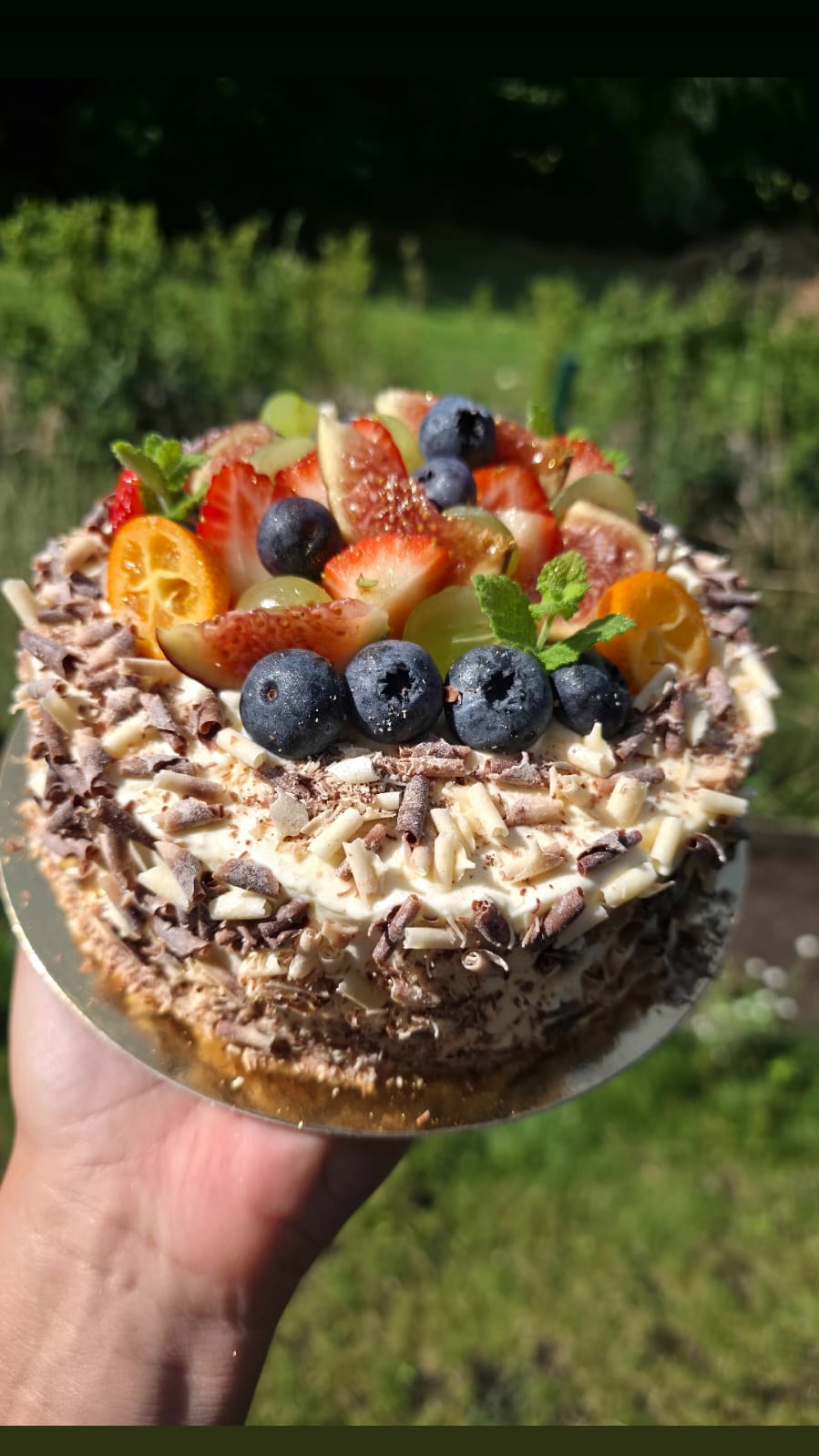 Chocolate Curl & Fruit Cake