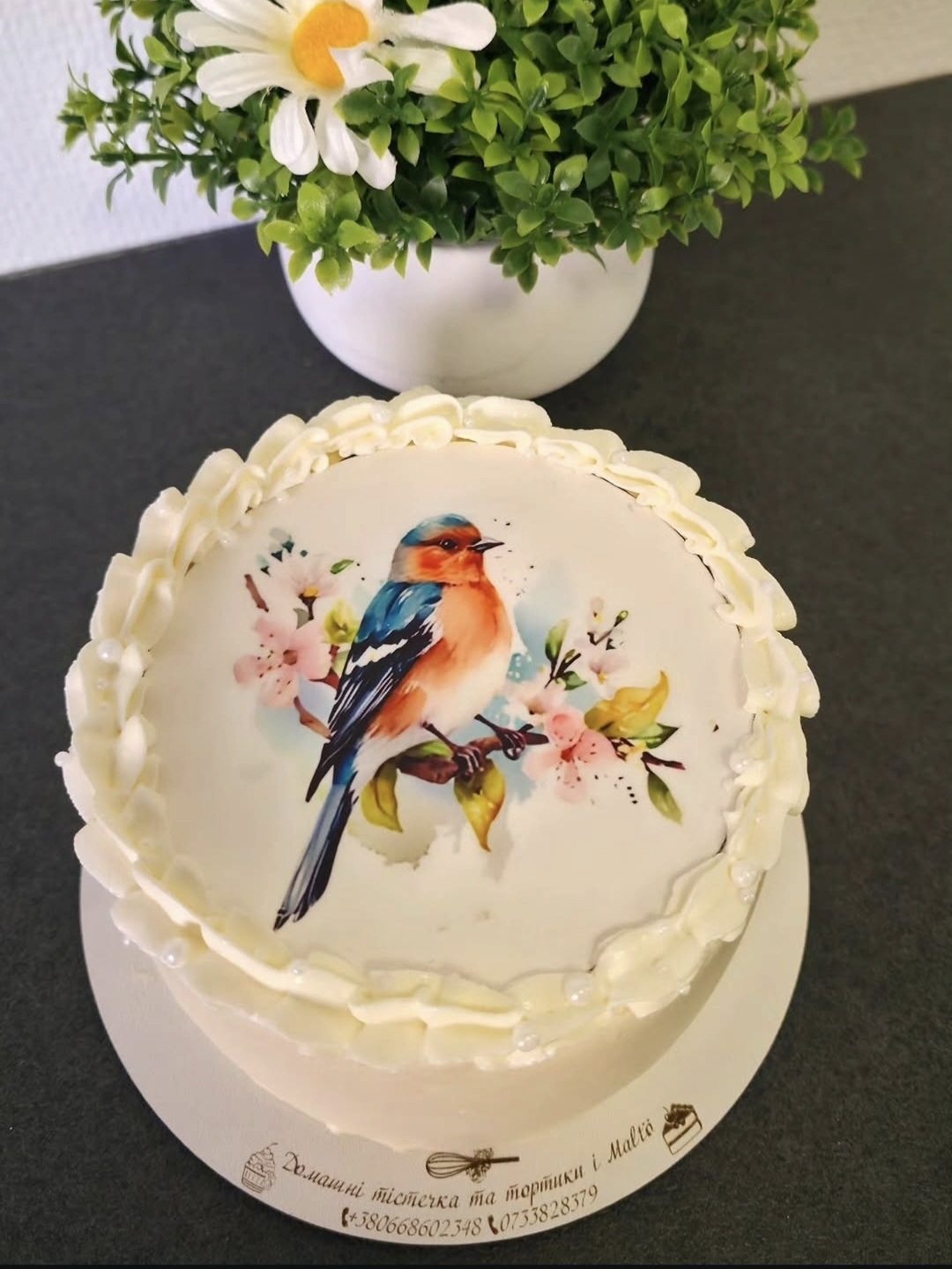 Bird & Blossom Print Cake