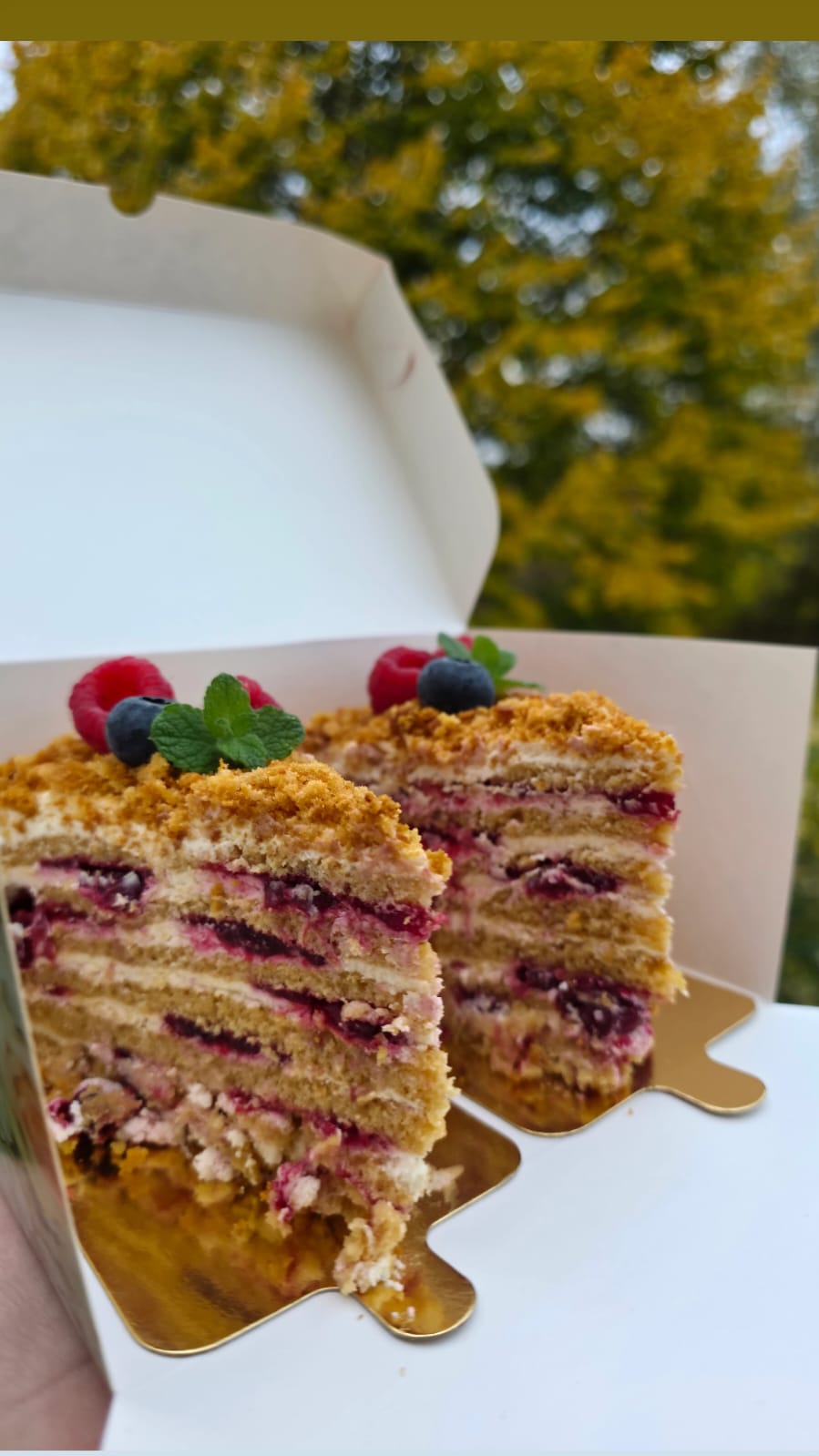 Berry Medovik Slices